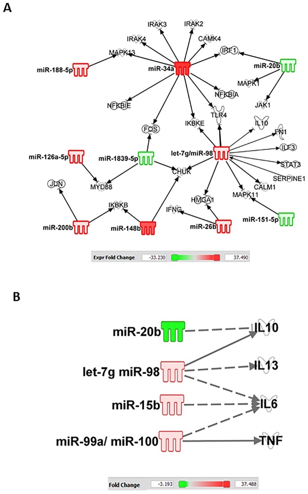 Fig 8