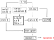 Fig 10