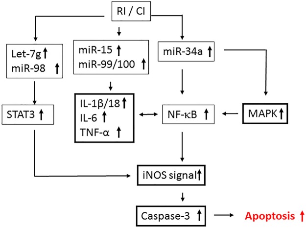 Fig 10