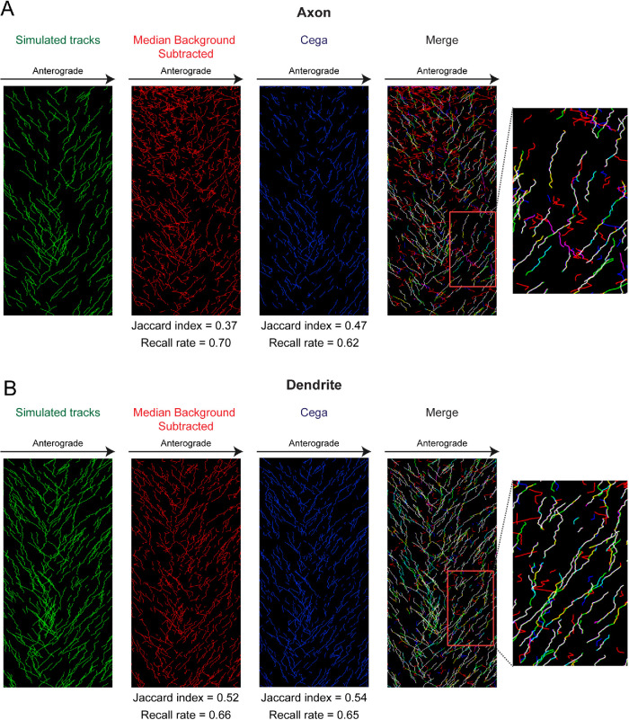 FIGURE 3: