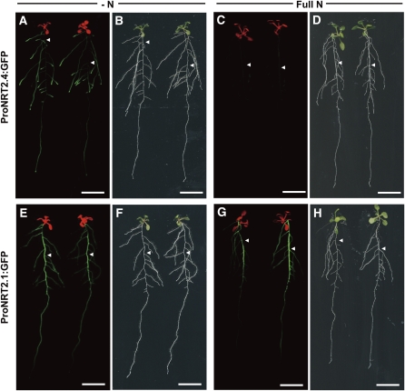 Figure 2.