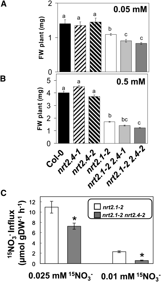 Figure 7.