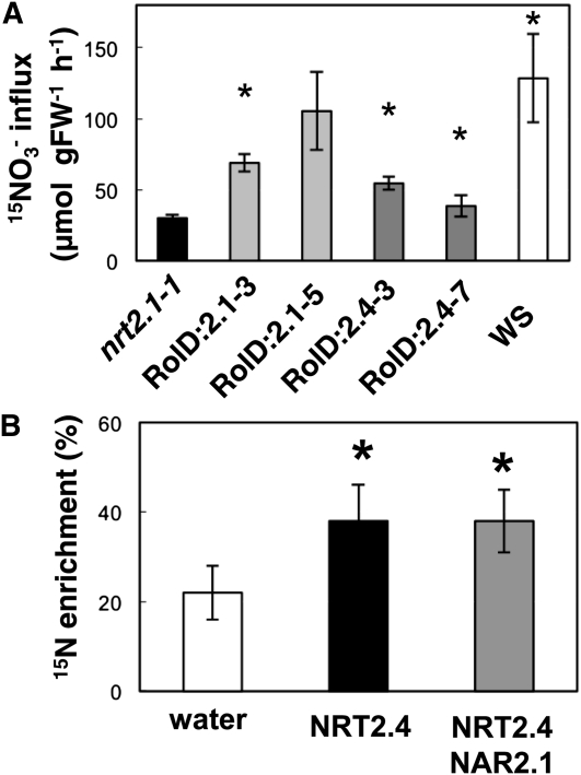 Figure 5.