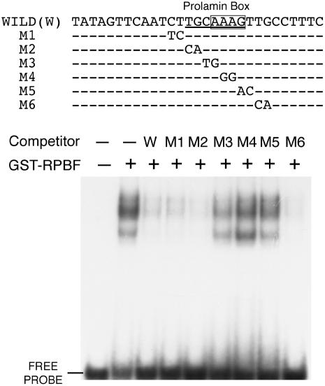 Figure 5.