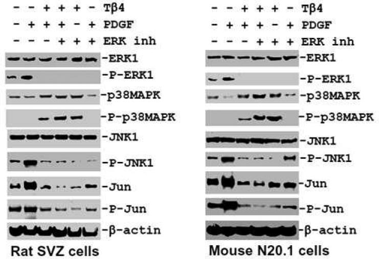 Fig. 11