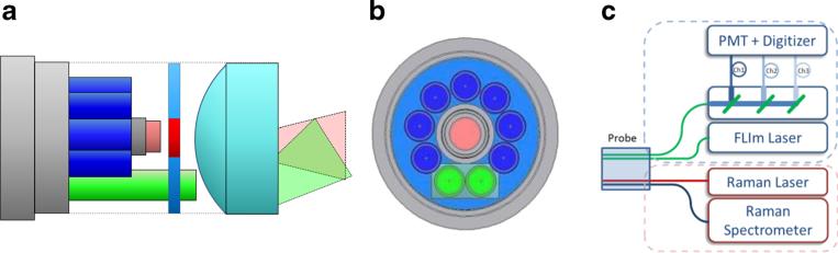 Fig. 1