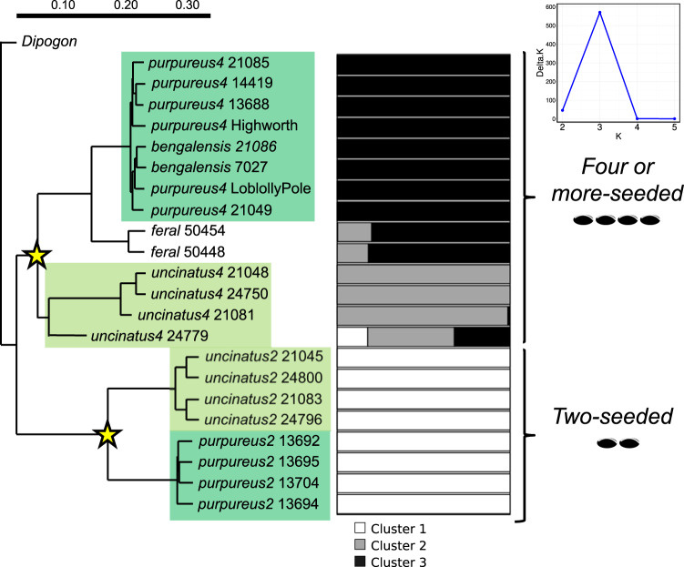 Fig. 4