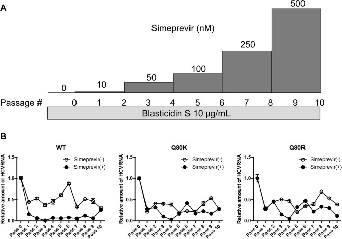 FIG 1