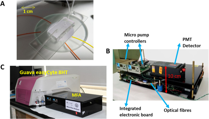 FIG. 3.