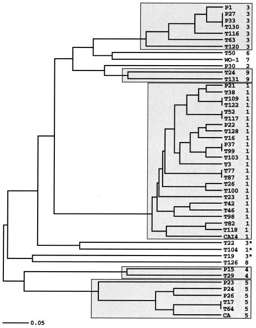 FIG. 4