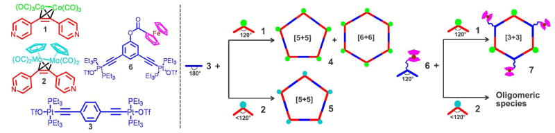 Scheme 1