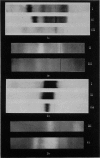 146-1