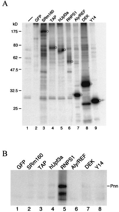 FIG. 4.