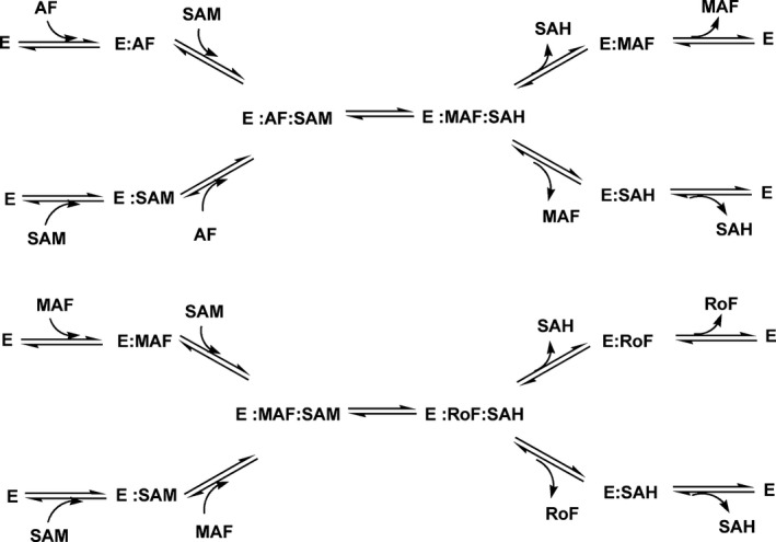 Scheme 2