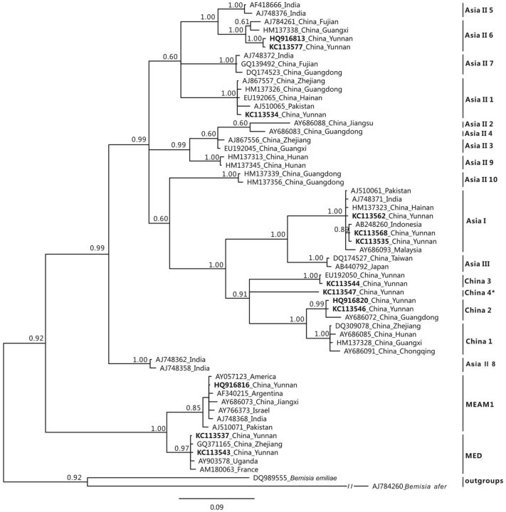 Fig. 2.