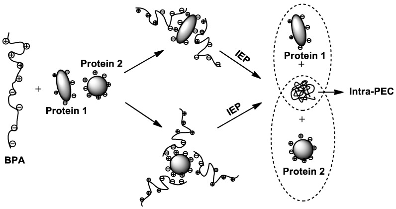 Scheme 10