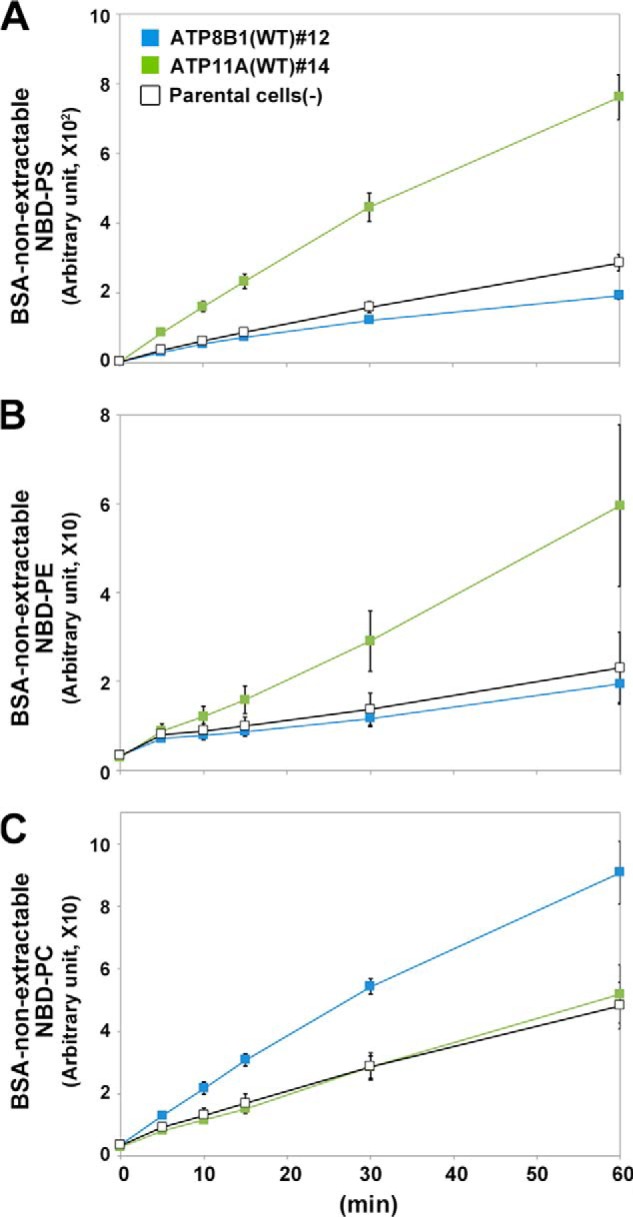 FIGURE 6.