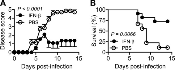 FIG 4