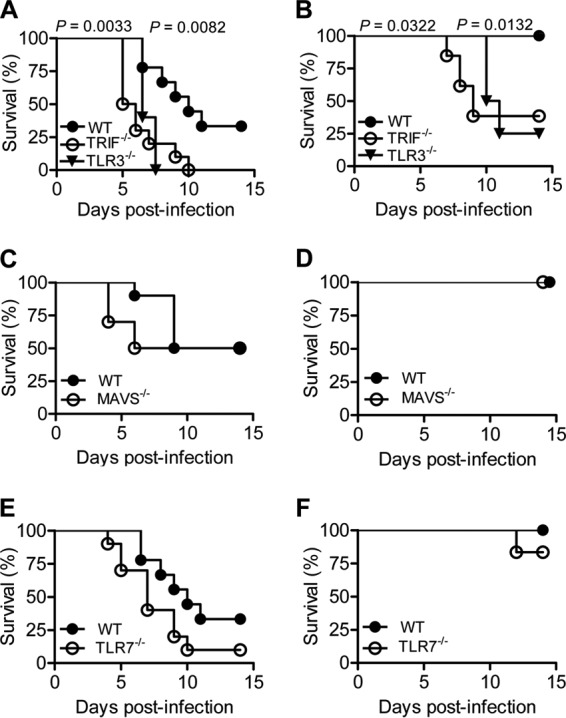 FIG 2