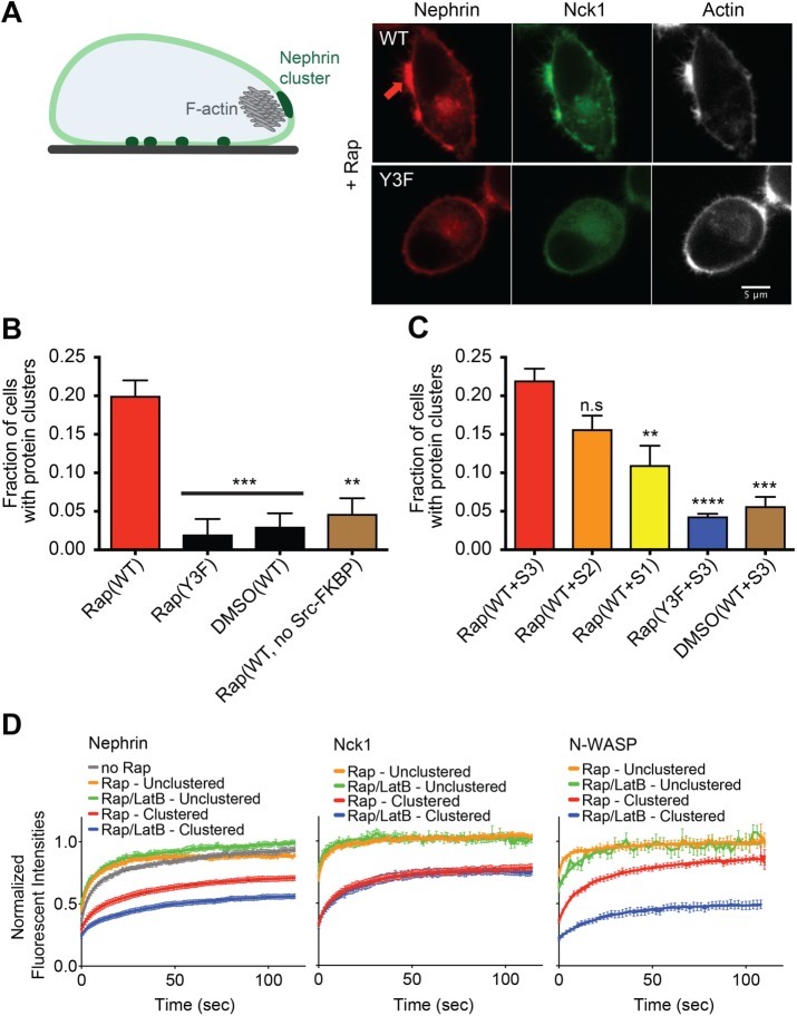 FIGURE 6: