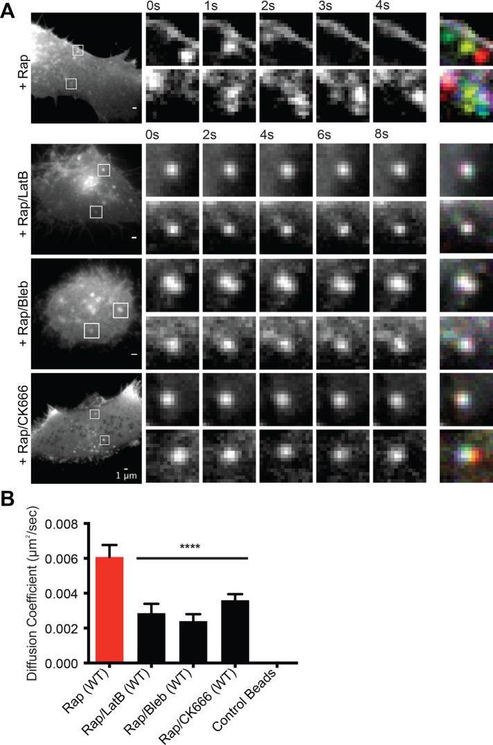 FIGURE 5: