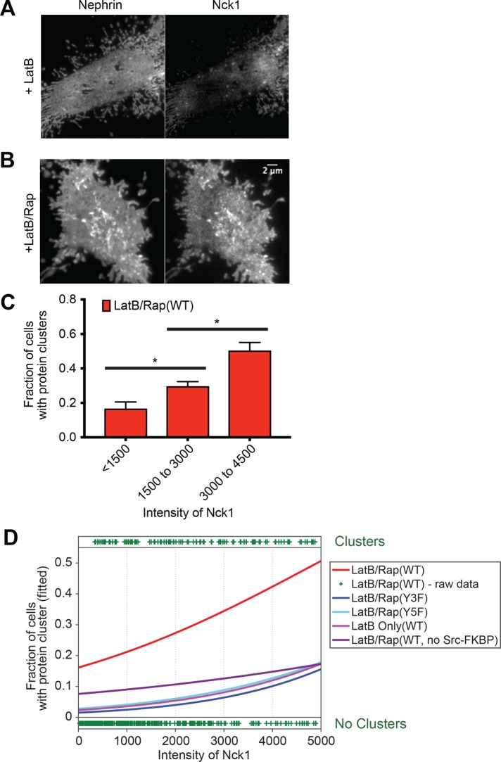 FIGURE 3: