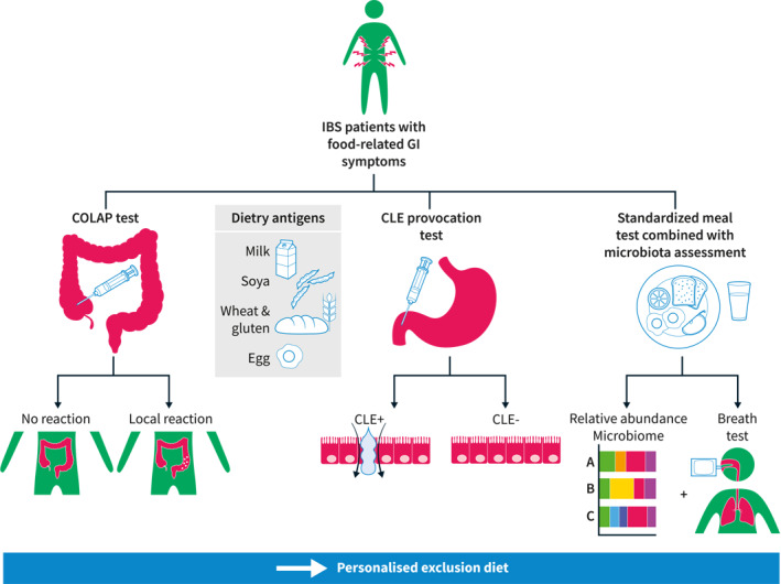 FIGURE 2