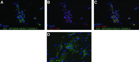 FIG. 10.