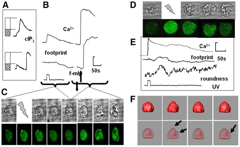 Fig. 4.