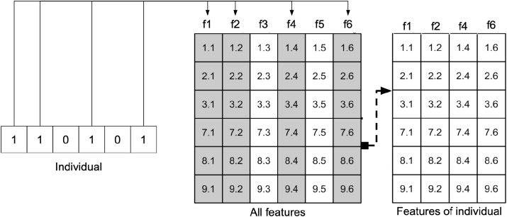 Fig. 6