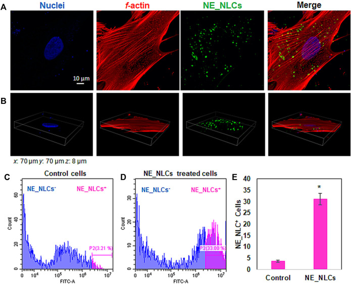 FIGURE 4