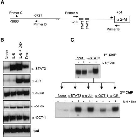 Figure 4.