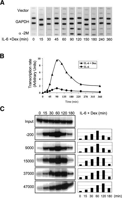 Figure 6.