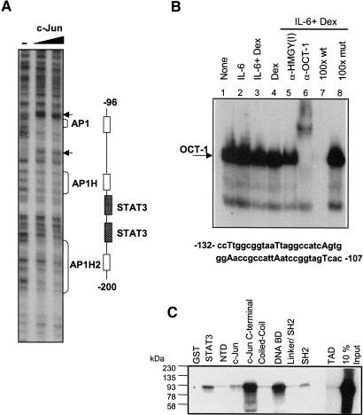 Figure 2.