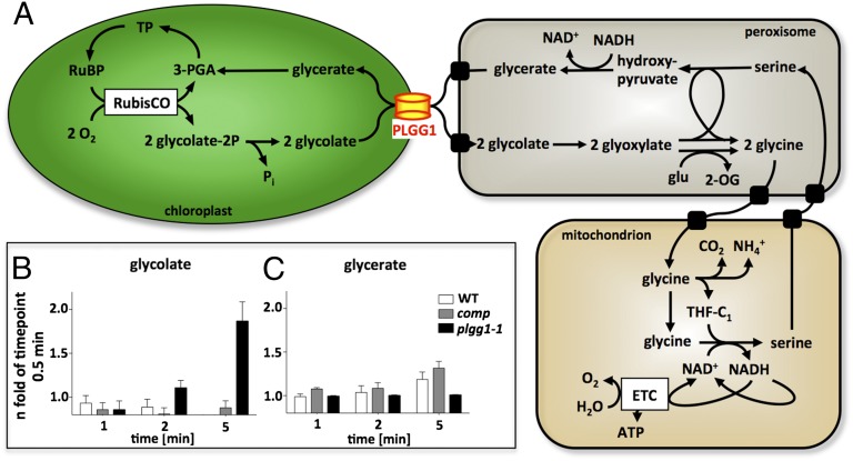 Fig. 4.