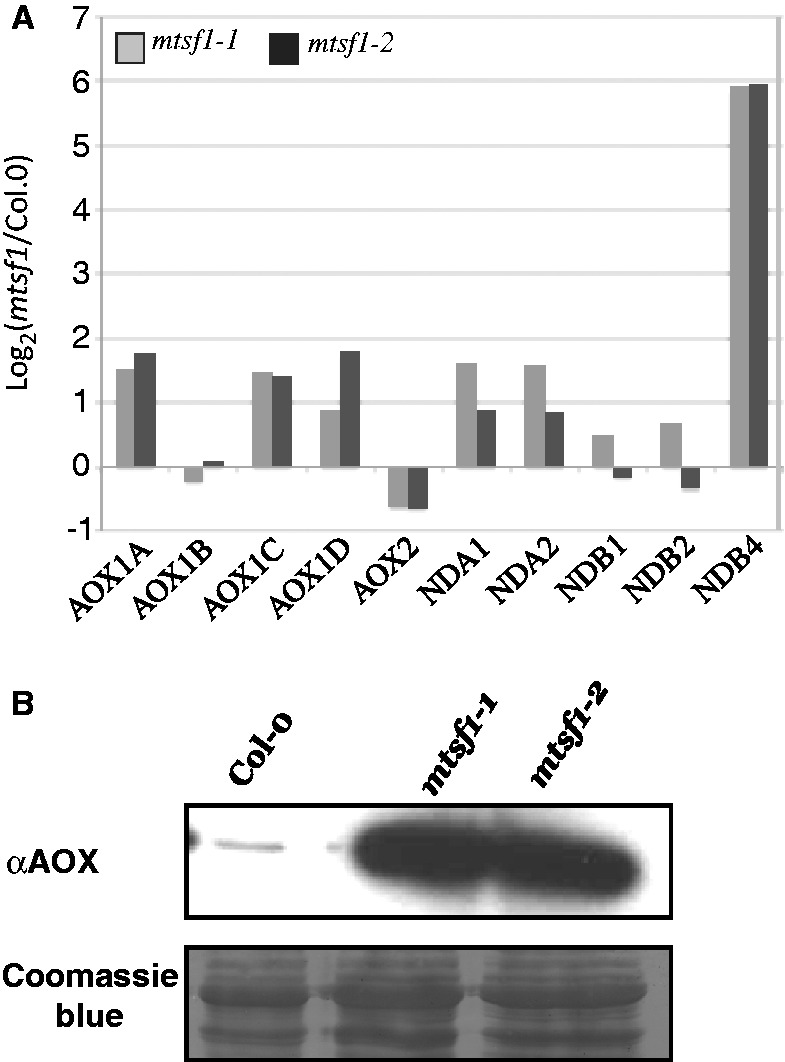 Figure 4.