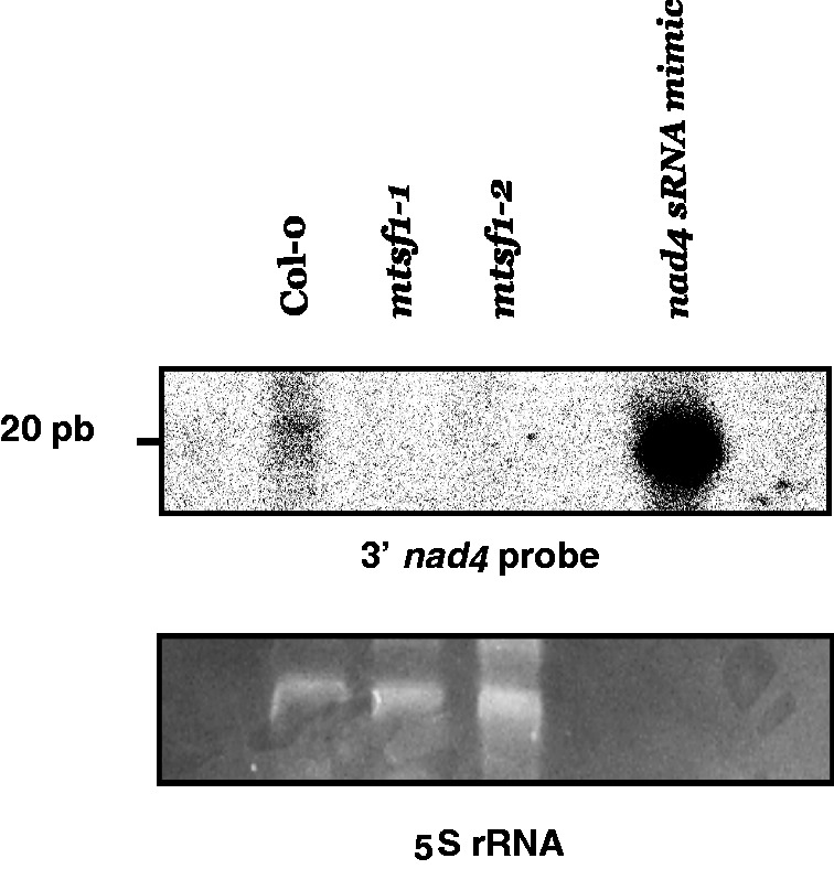 Figure 9.