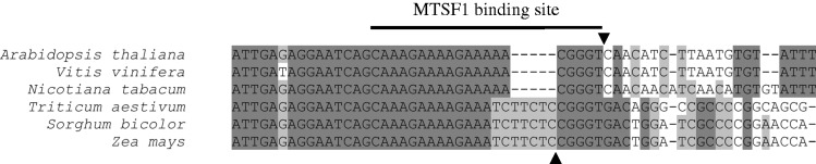 Figure 10.