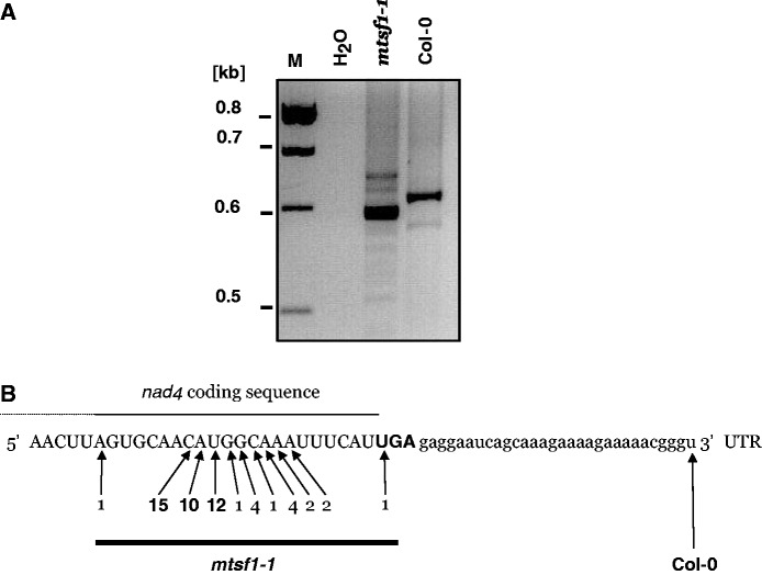 Figure 7.