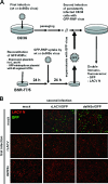 FIG. 3.