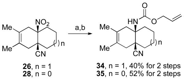 Scheme 5