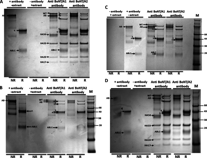 FIG 2