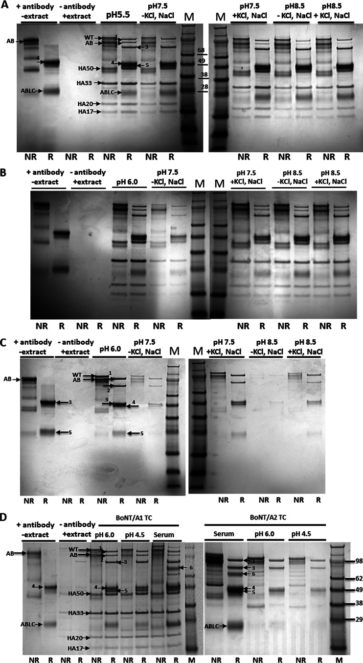 FIG 3