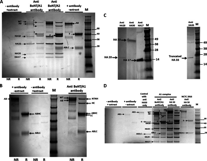 FIG 4