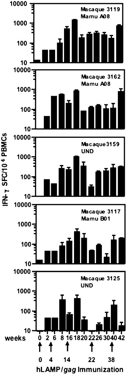 Figure 4