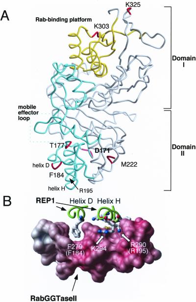 Figure 1.