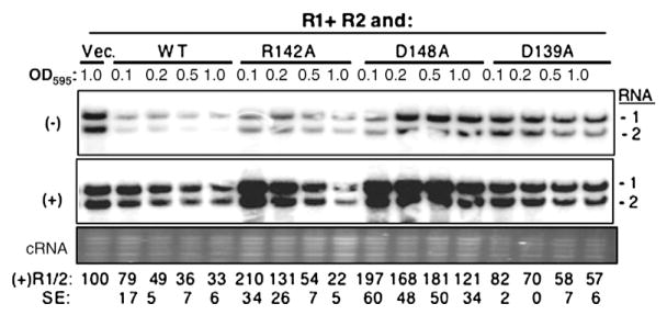 Fig. 5