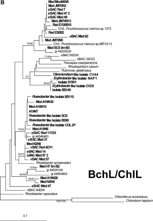 FIG. 2.