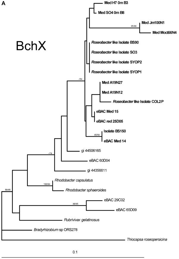 FIG. 2.