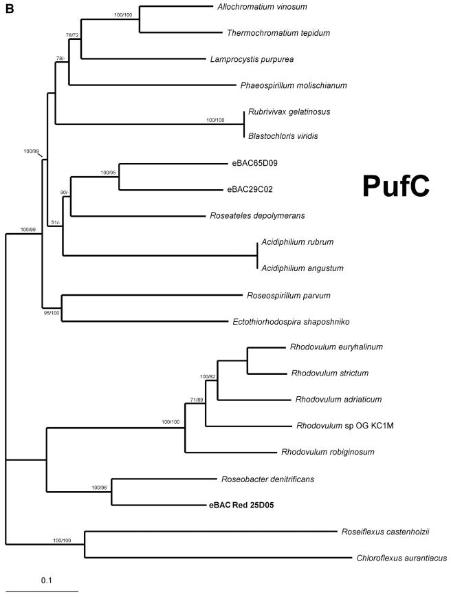 FIG. 5.